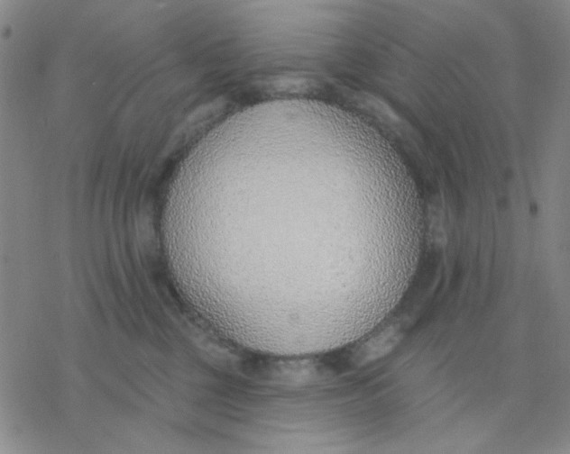 X0000076400377200610271624