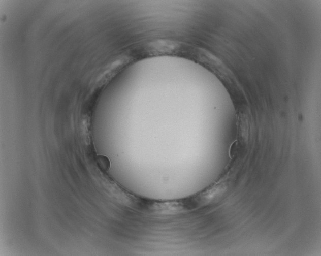 X0000076400378200610271624