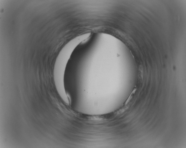 X0000076400380200610271624