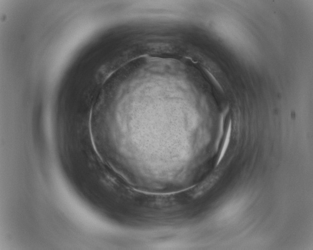 X0000076400383200610271624