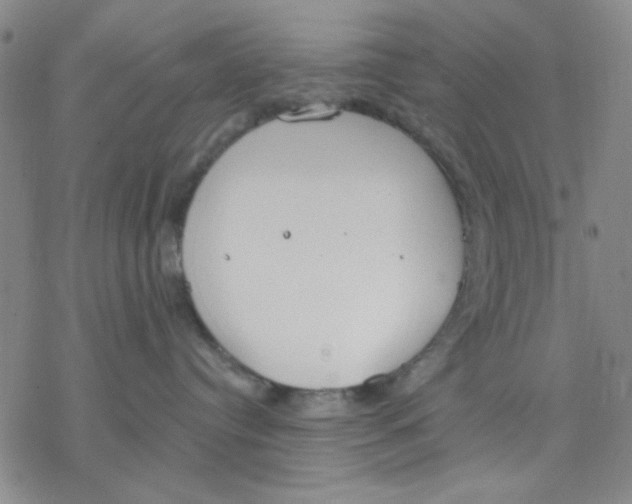 X0000076400384200610271624