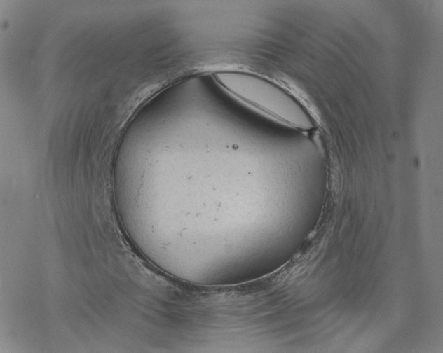 X0000076400385200610271623