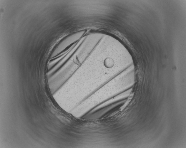 X0000076400386200610271623