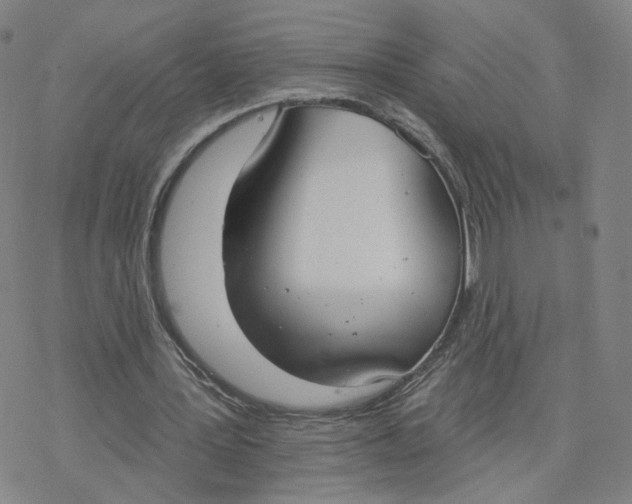 X0000076400387200610271623