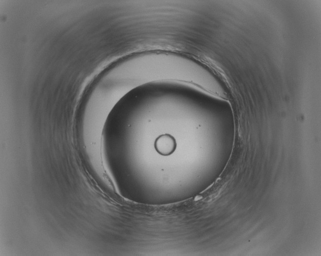 X0000076400388200610271623