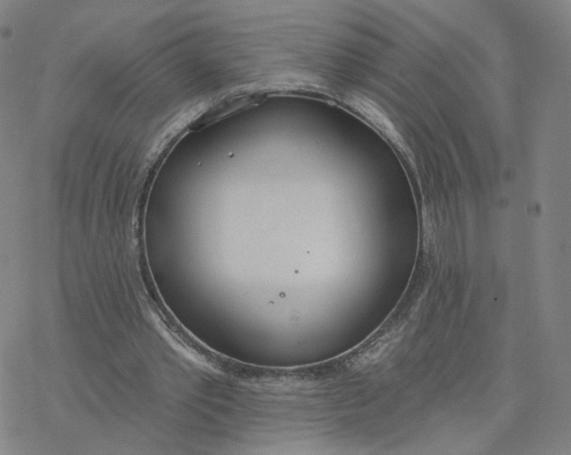 X0000076400389200610271623