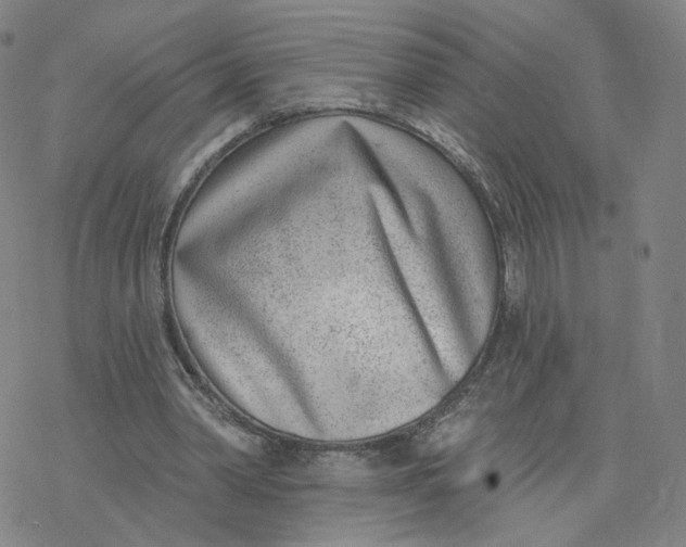 X0000076400390200610271623