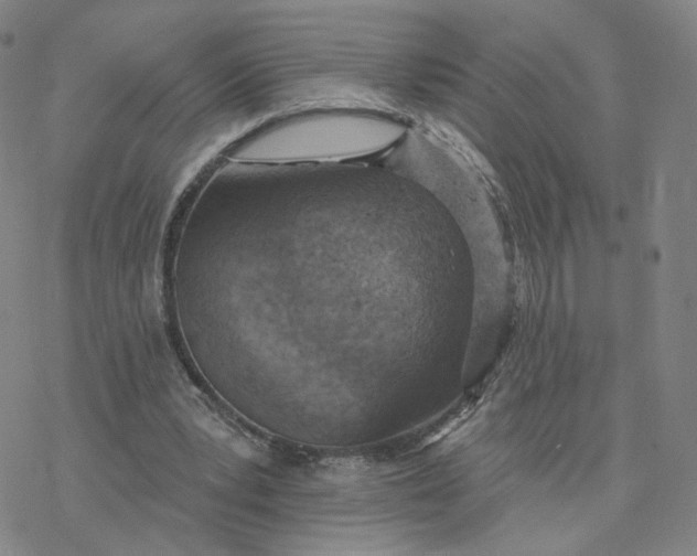 X0000076400391200610271623