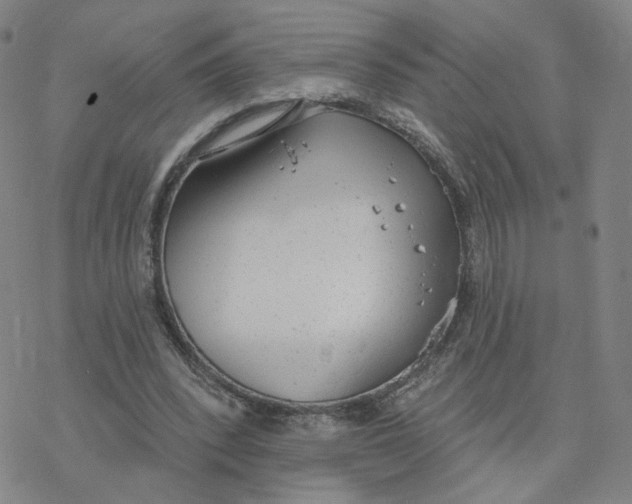 X0000076400392200610271623