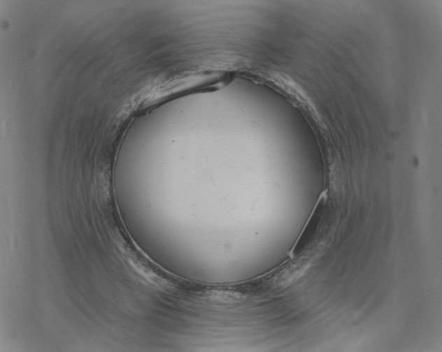 X0000076400393200610271623