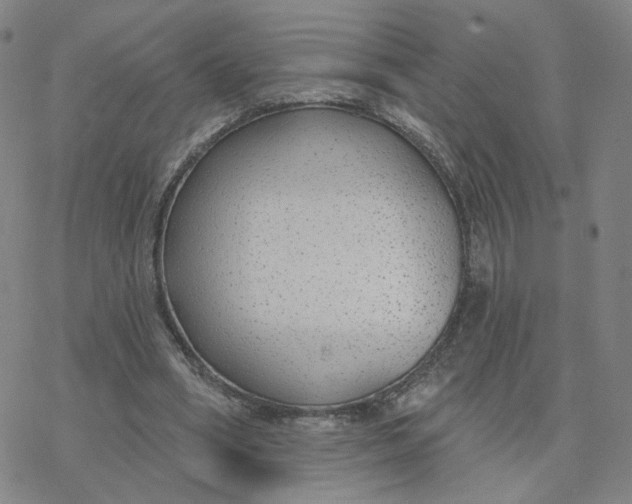 X0000076400394200610271623