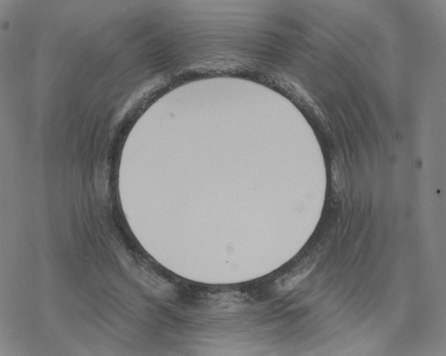 X0000076400396200610271623