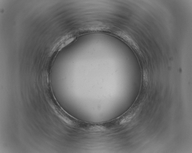 X0000076400397200610271623