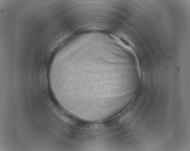 X0000076400398200610271623