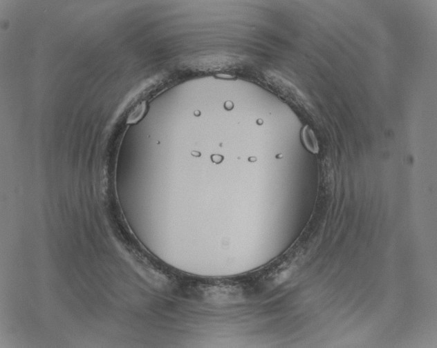 X0000076400400200610271623