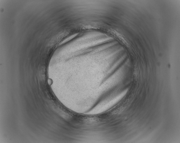 X0000076400402200610271623