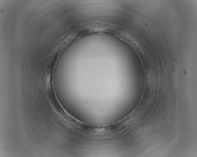 X0000076400406200610271623