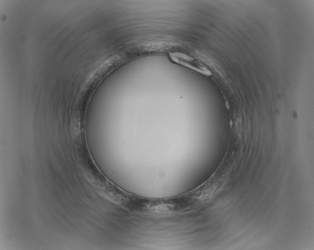 X0000076400407200610271623