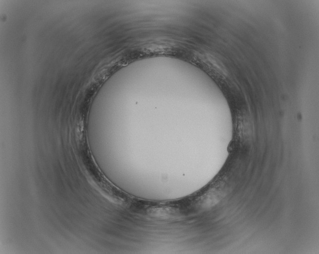 X0000076400408200610271623