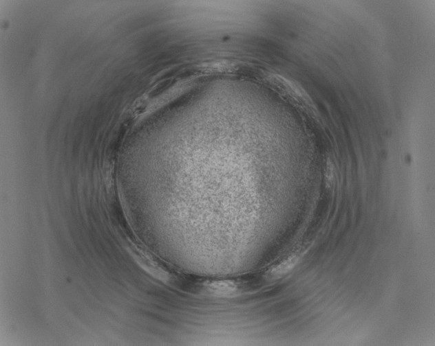 X0000076400409200610271623