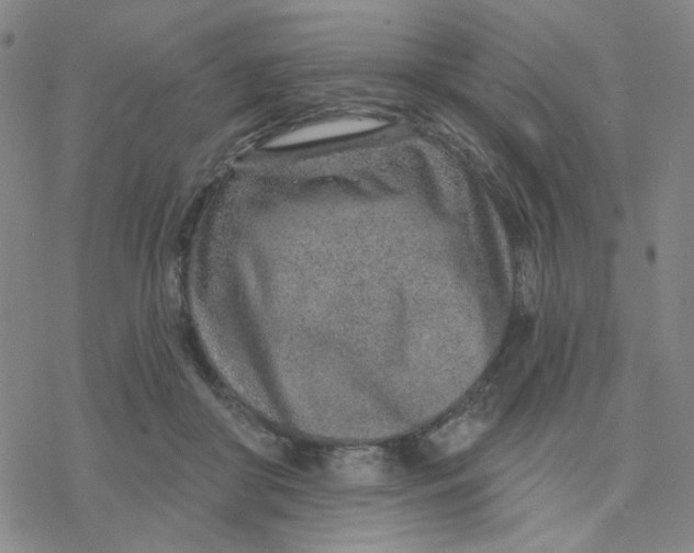 X0000076400410200610271623