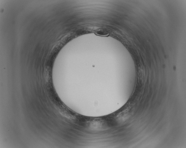 X0000076400412200610271623