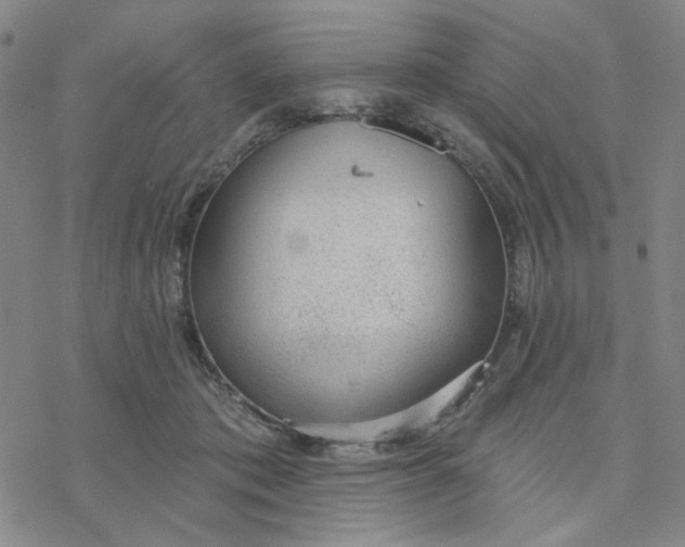 X0000076400413200610271623