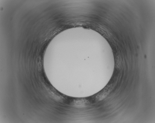 X0000076400414200610271623