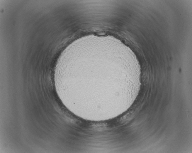 X0000076400415200610271623