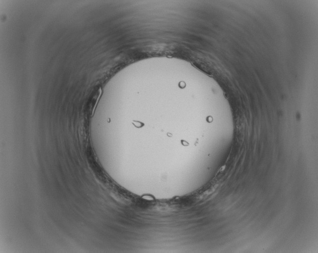 X0000076400416200610271623