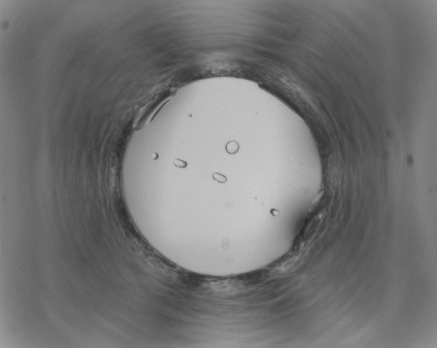 X0000076400417200610271623