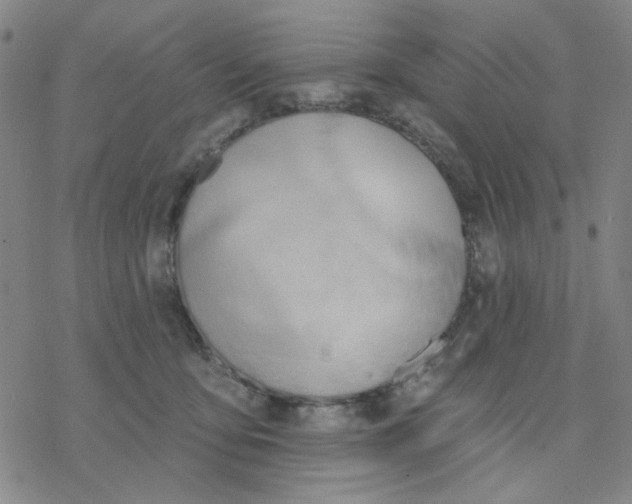 X0000076400419200610271623