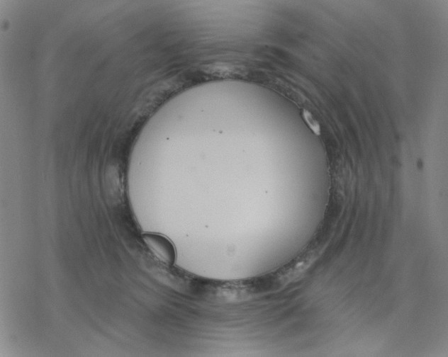 X0000076400420200610271623