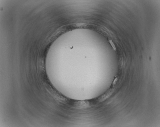 X0000076400421200610271623