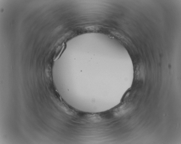 X0000076400424200610271623