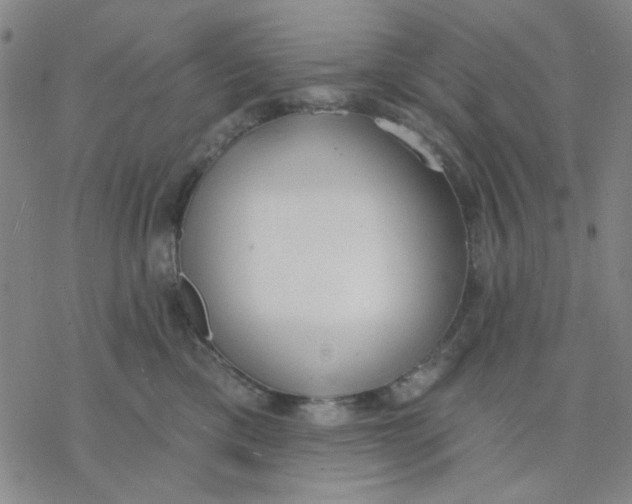 X0000076400425200610271623