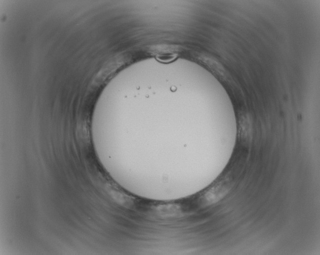 X0000076400426200610271623