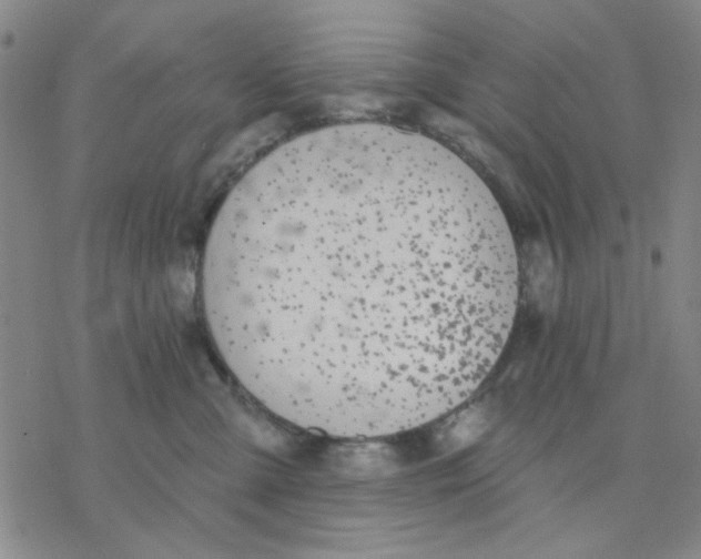 X0000076400427200610271623