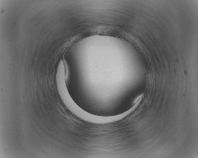 X0000076400429200610271623