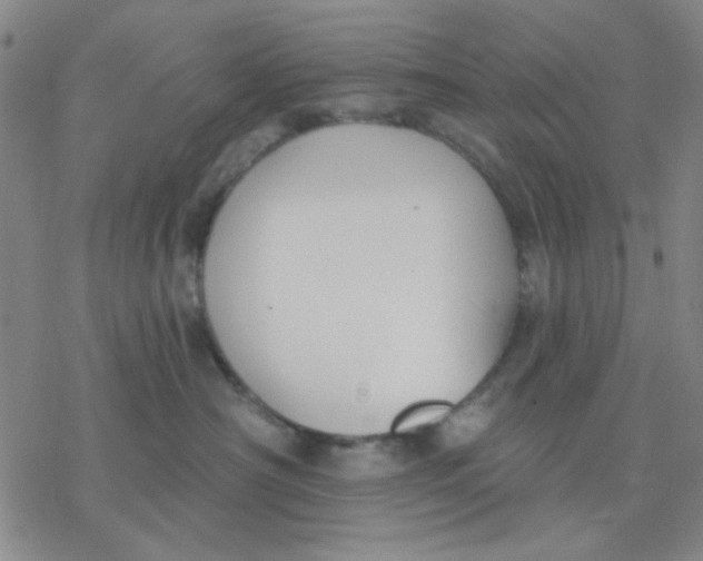 X0000076400430200610271623