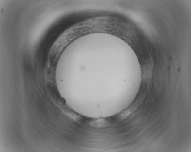 X0000076400431200610271623