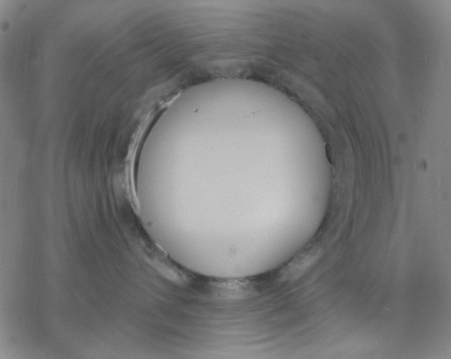 X0000076400432200610271623