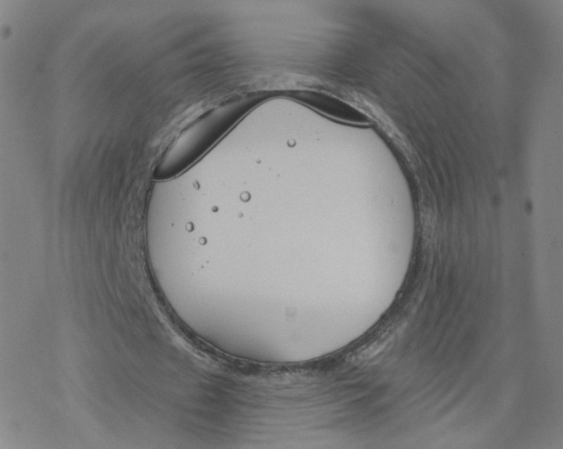 X0000076400433200610271622