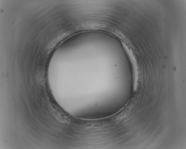 X0000076400434200610271622