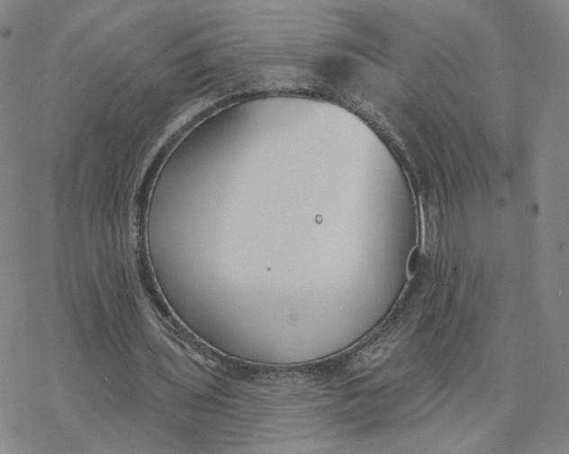 X0000076400435200610271622