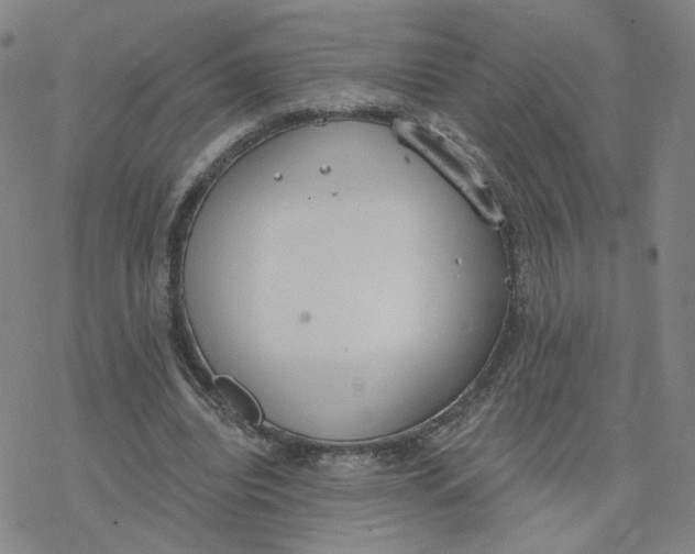 X0000076400440200610271622