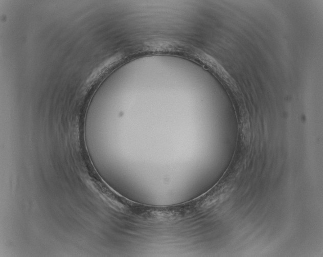 X0000076400442200610271622