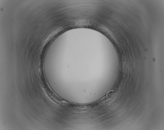 X0000076400443200610271622