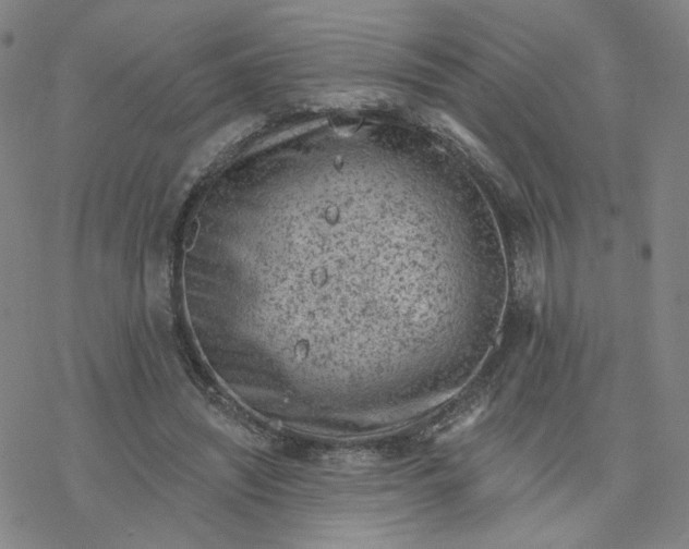 X0000076400444200610271622