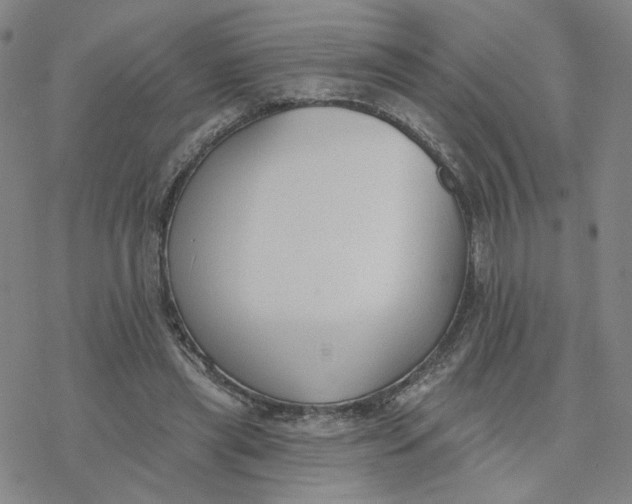 X0000076400445200610271622